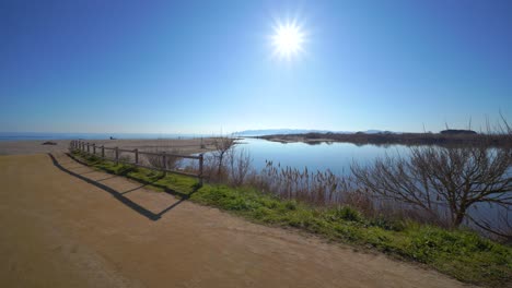 mouth of the river ter in girona natural park of europe