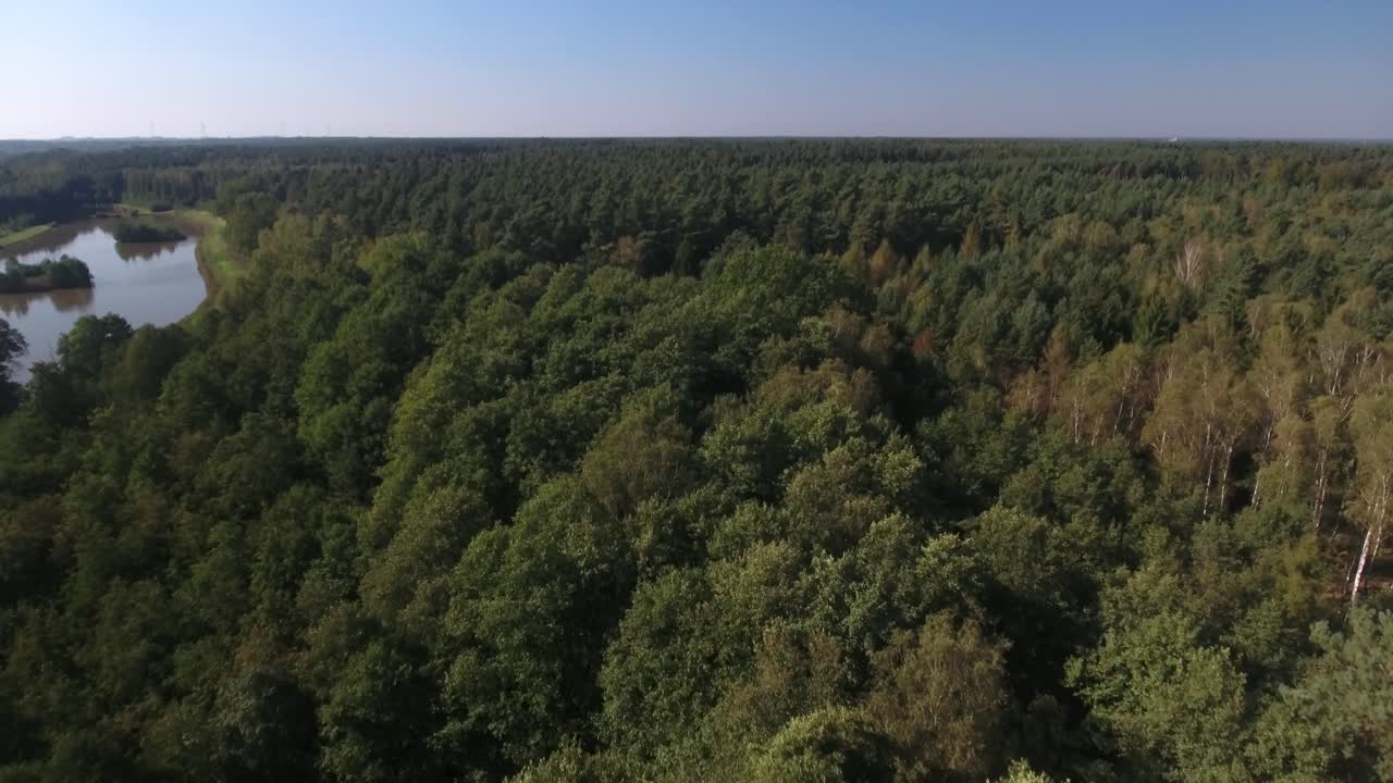 Aerial View of a Lush Green Forest with a Lake