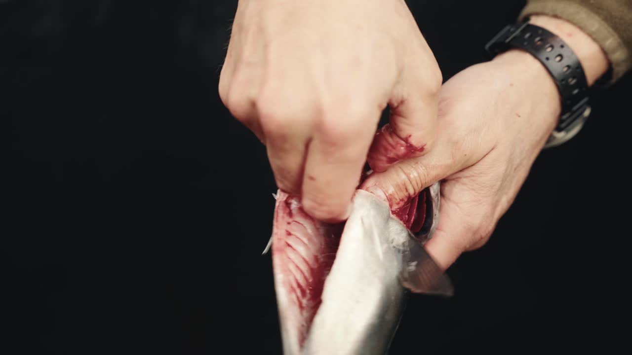 Close-up of hands cleaning and preparing fresh fish without knife, perfect for culinary projects.