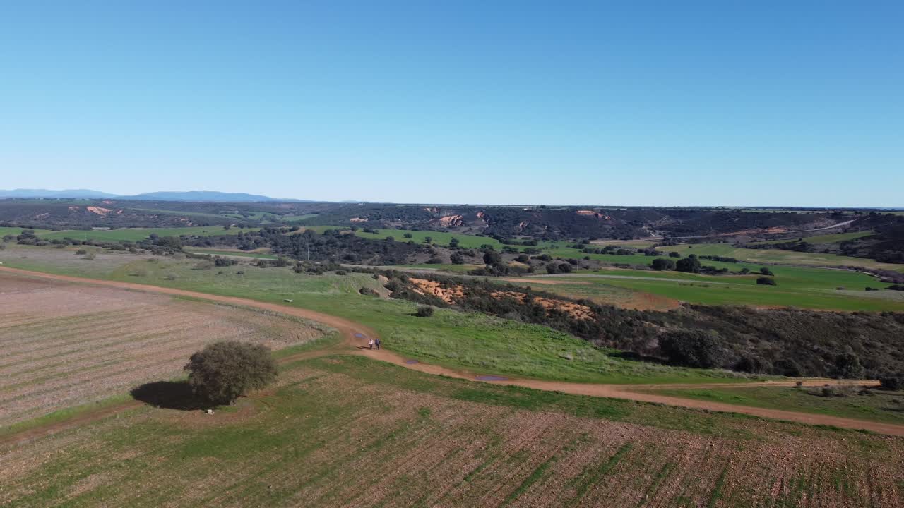 푸른 잔디와 초원 산과 금빛 대낮 공중 장면으로 둘러싸인 개를 산책하는 두 사람