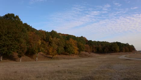 beautiful forest and field landscape on an autumn day - wide angle shot