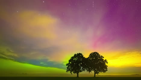 colorful northern lights dance over two silhouetted trees on a vast landscape at night, timelapse