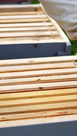 unrecognizible beekeeper pulls off honeycombs with special instrument. man works with beesmoker. video from above. vertical video