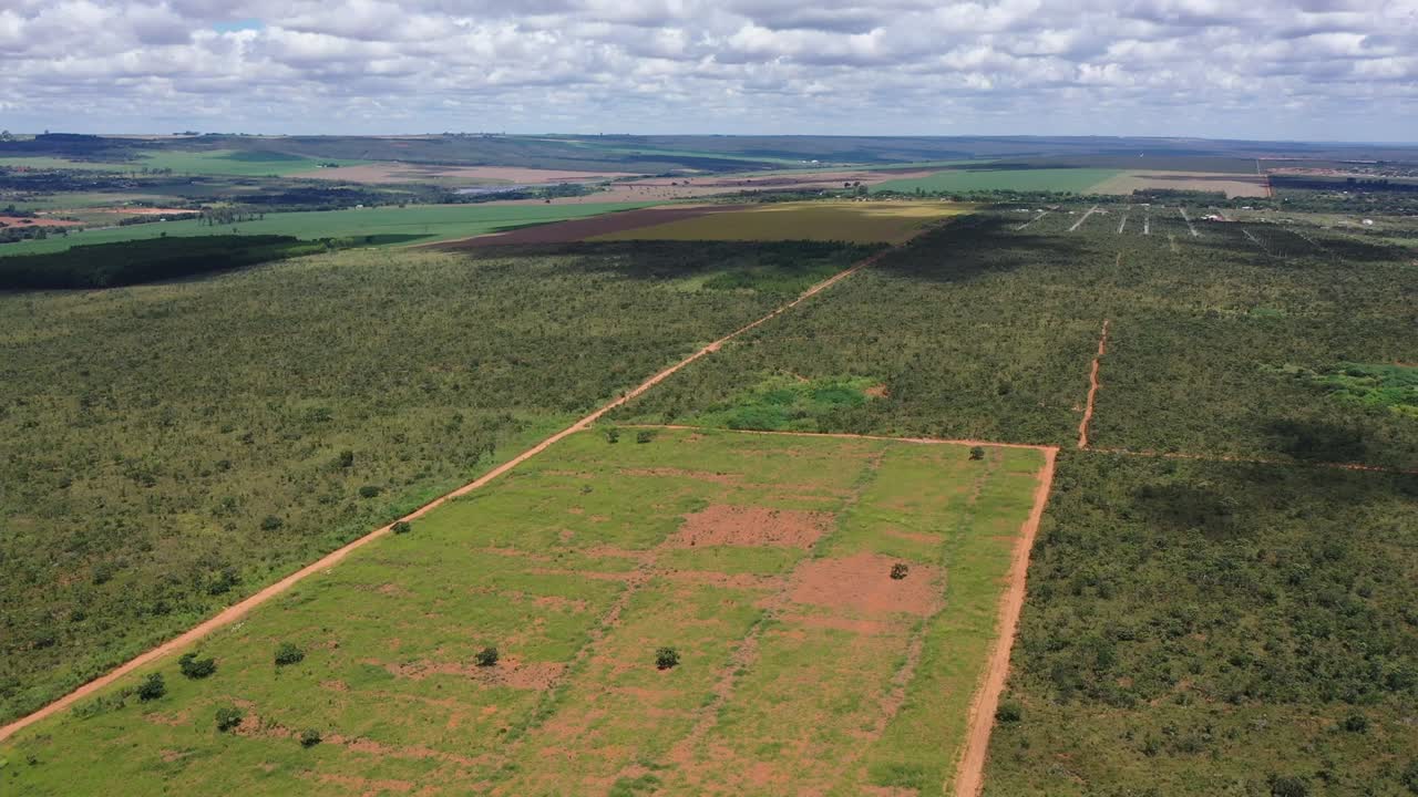 la sabana brasileña en secciones para la deforestación para crear más tierras de cultivo de soja - vista aérea