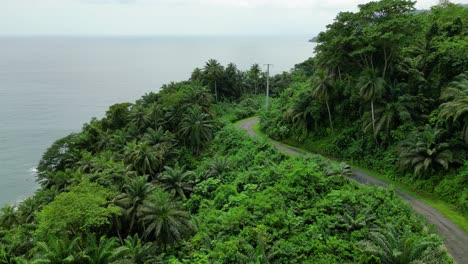 panoramic drone shot following a car driving on the coastline of south sao tome