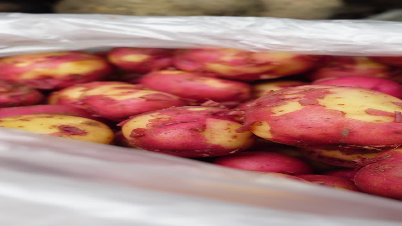 patatas rojas en bolsas de plástico