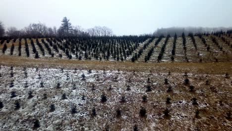 aerial push north carolina mountain christmas tree farm