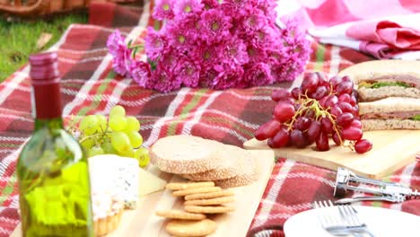 overview of tasty food on the picnic blanket