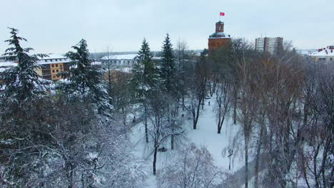 winter park at daytime. drone rising over the snowy trees opening the panorama of a big city. aerial view.