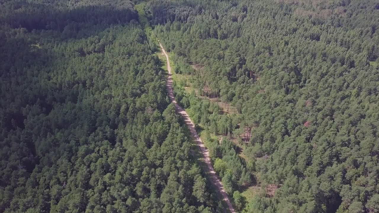 숲 도로 의 공중 사진