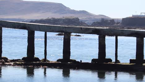 low-tide-in-the-ocean