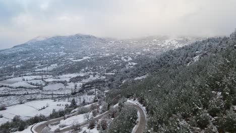 Bosque-De-Invierno-Montañas-Cubiertas-De-Nieve