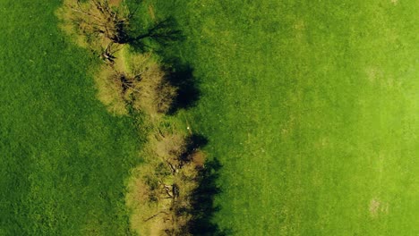 Aerial-shot-of-The-green-Farm-land