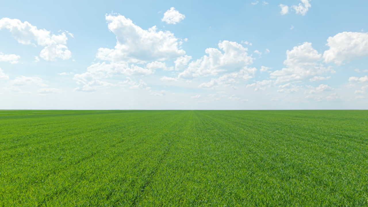 Drone captures a stunning wide-angle view over green agricultural fields in rural Bulgaria, framed by a bright blue sky with scattered white clouds. The spring landscape is peaceful