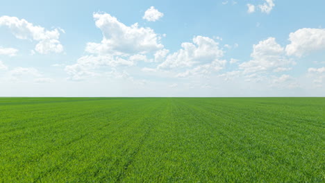 drone captures a stunning wide-angle view over green agricultural fields in rural bulgaria, framed by a bright blue sky with scattered white clouds. the spring landscape is peaceful
