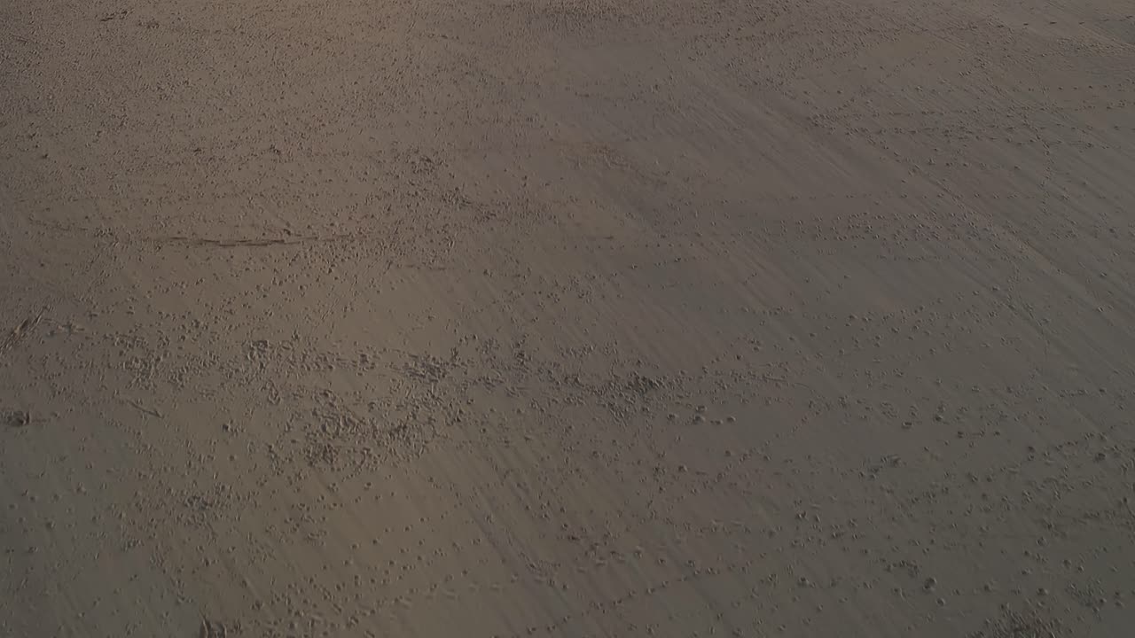 Top View of Sandy Dune Surface with Sparse Bushes