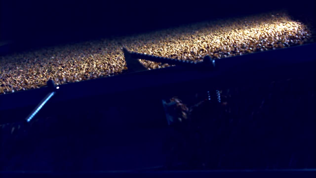 granos de café temblando en una pantalla para separar las impurezas en una fábrica
