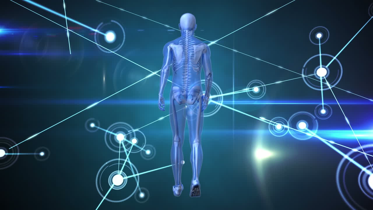 animación de la red de conexiones y procesamiento de datos sobre el modelo del cuerpo humano
