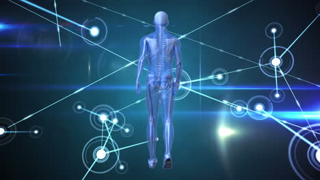 animation of network of connections and data processing over human body model