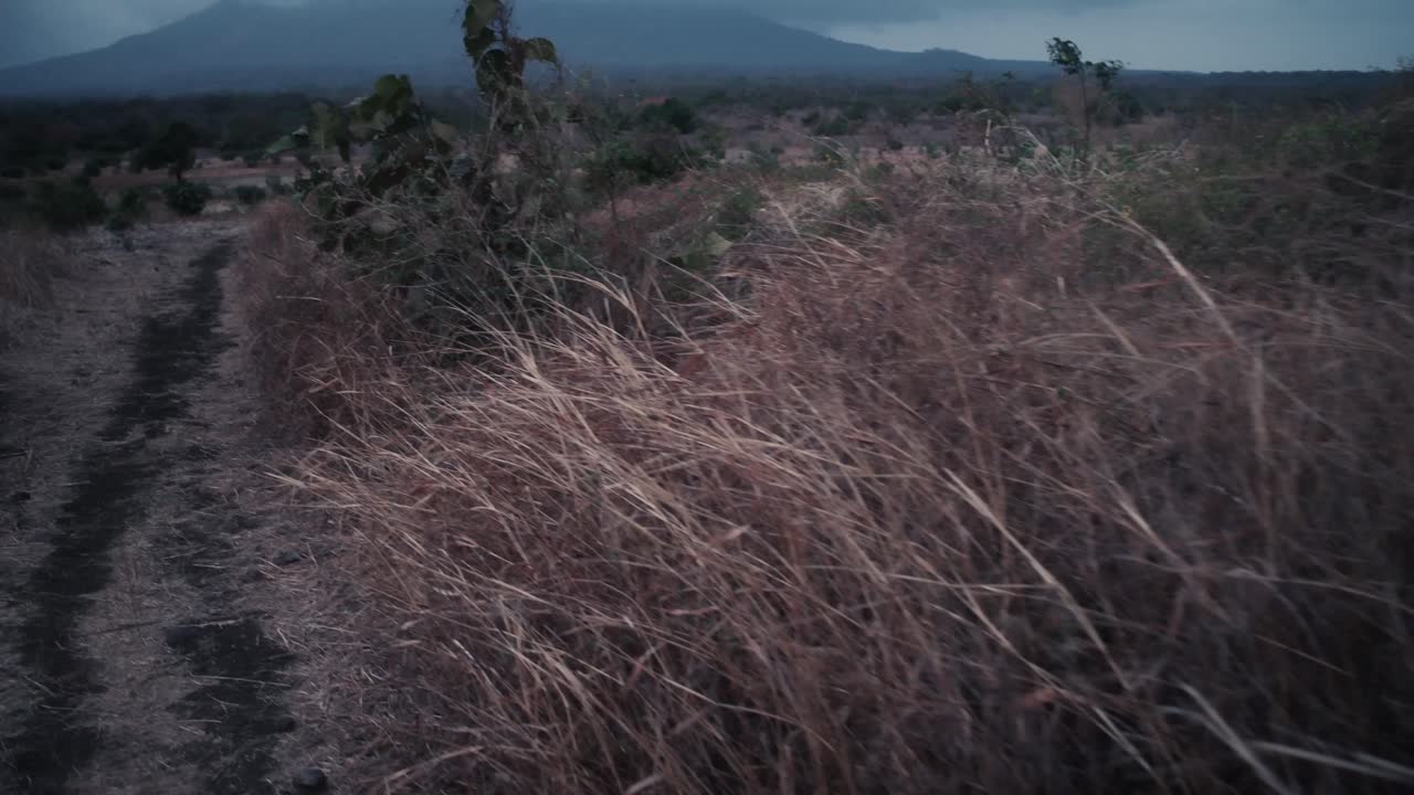Camminando lungo un sentiero attraverso un campo secco