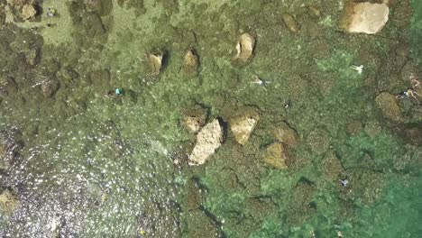 Overhead-view-of-swimmers-enjoying-the-clear-water-at-Sharks-cove