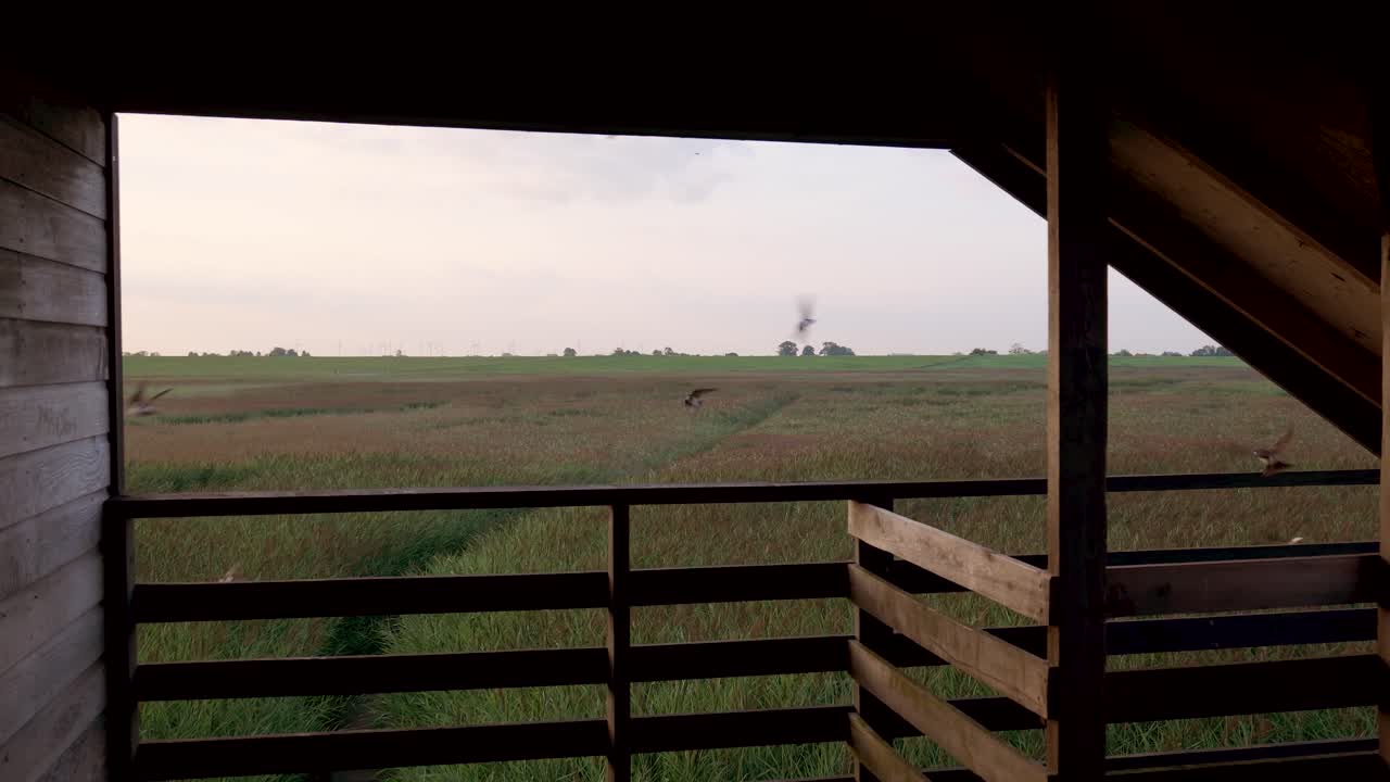 View from a wooden observation deck overlooking a vast field with a bird in flight