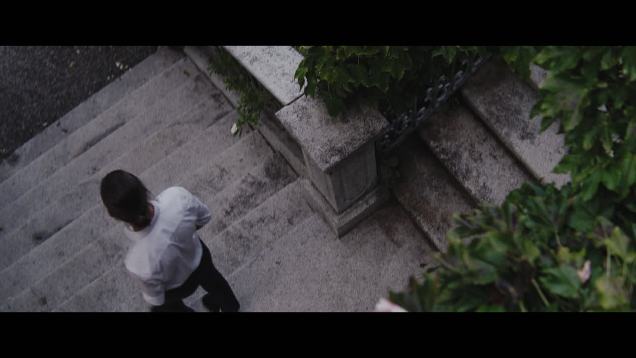 Person Walking Up Stone Stairs in Garden