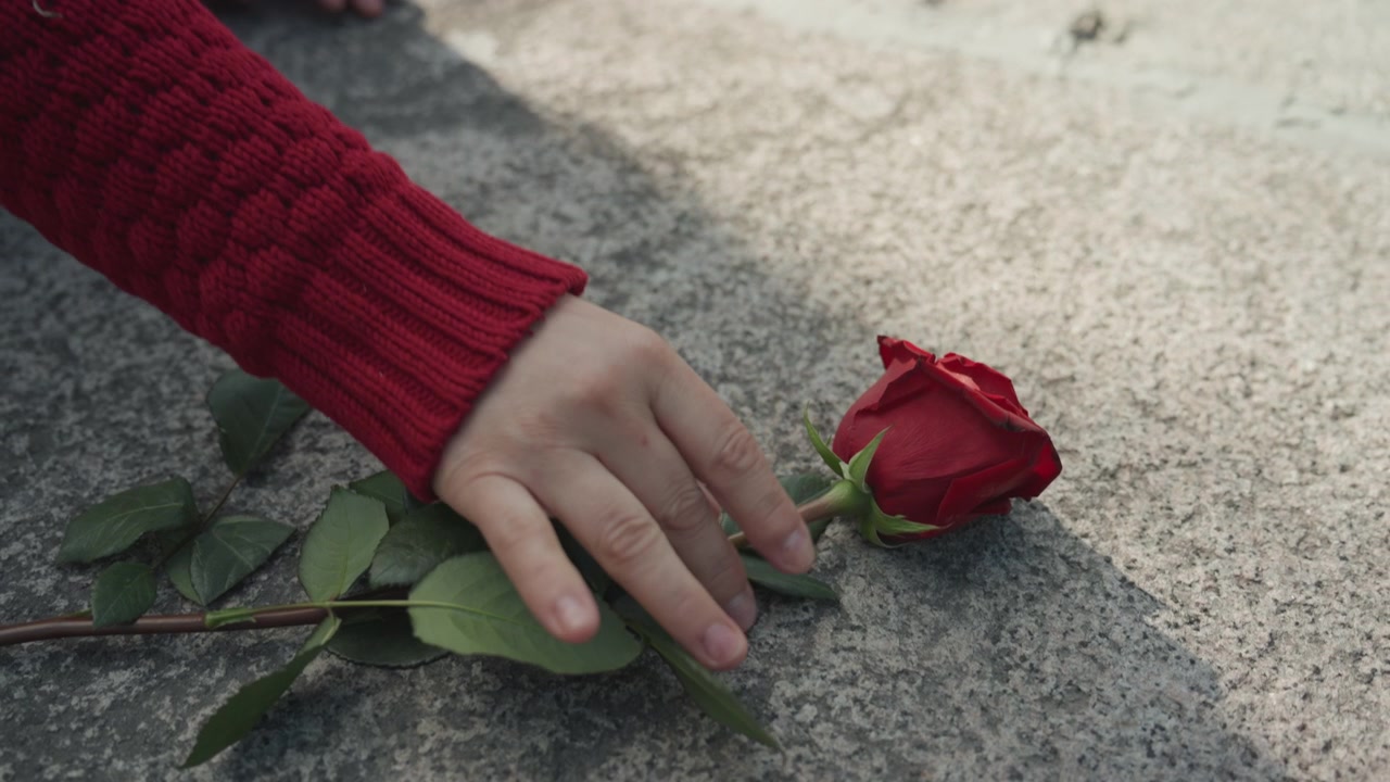 Woman in red sweater reaches for and picks up single fallen rose from ground then stands to walk away with it. scene features soft natural light on outdoor stone surface emphasizing texture