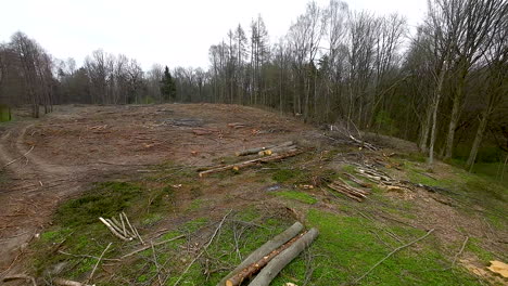 Verwüsteter-Teil-Des-Waldes-Mit-Vielen-Baumstümpfen-Nach-Dem-Fällen-Von-Bäumen