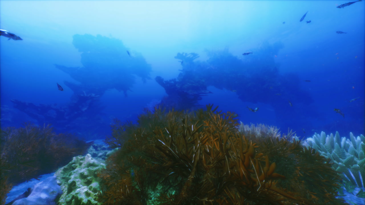 Underwater exploration reveals vibrant coral reefs and schools of fish