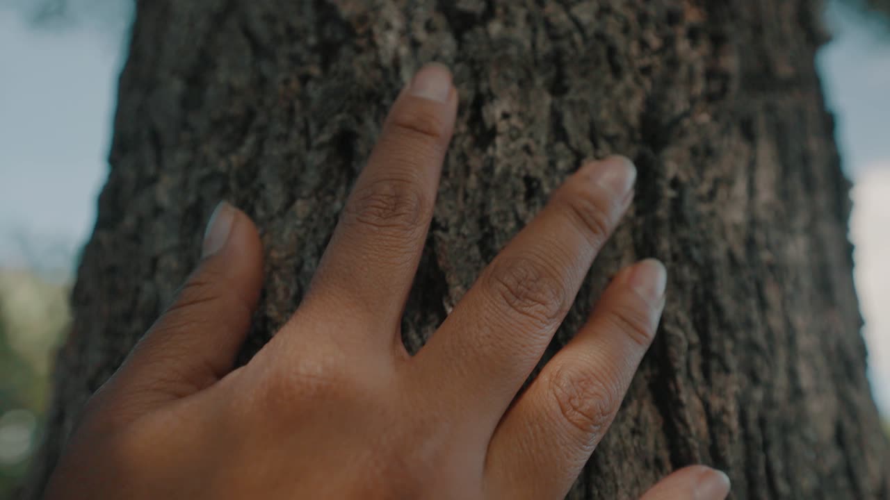 Hand Of A Black Woman Touching A Tree Trunk - Macro, tilt-down shot