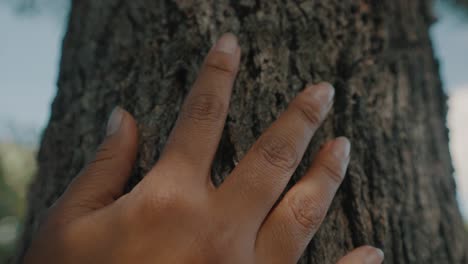Hand Of A Black Woman Touching A Tree Trunk - Macro, tilt-down shot
