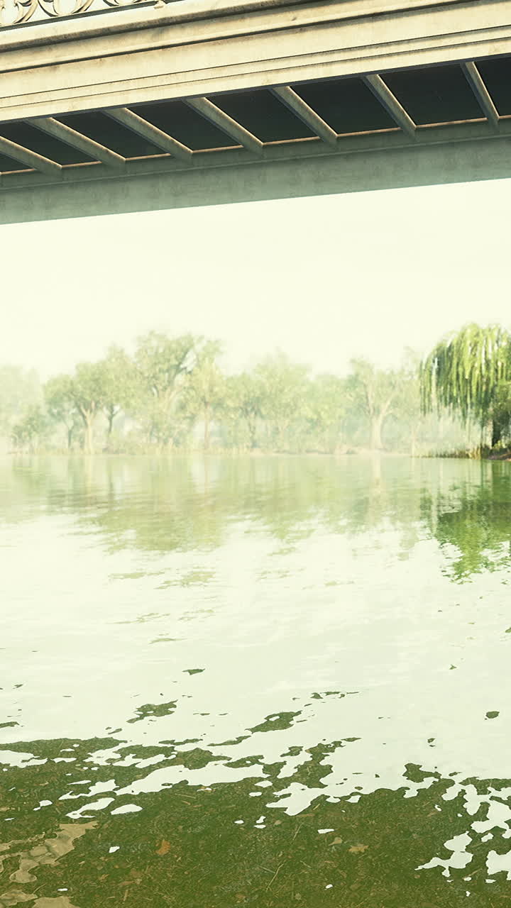 나무 와 안개 를 배경 으로 한 강 을 가로지르는 다리 의 조용 한 풍경