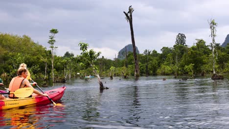 exploring serene waters amidst lush greenery