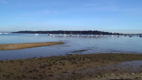 Brownsea-Island,-Poole-harbour,-slow-panning-shot