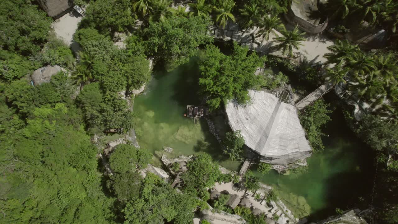 clip cinematográfico subiendo de un estanque en el medio de un bosque tropical y una vegetación exuberante de un complejo
