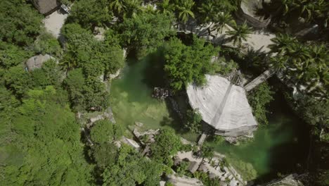 cinematic clip going upwards of a pond in the middle of a rainforest and a lush vegetation of a resort