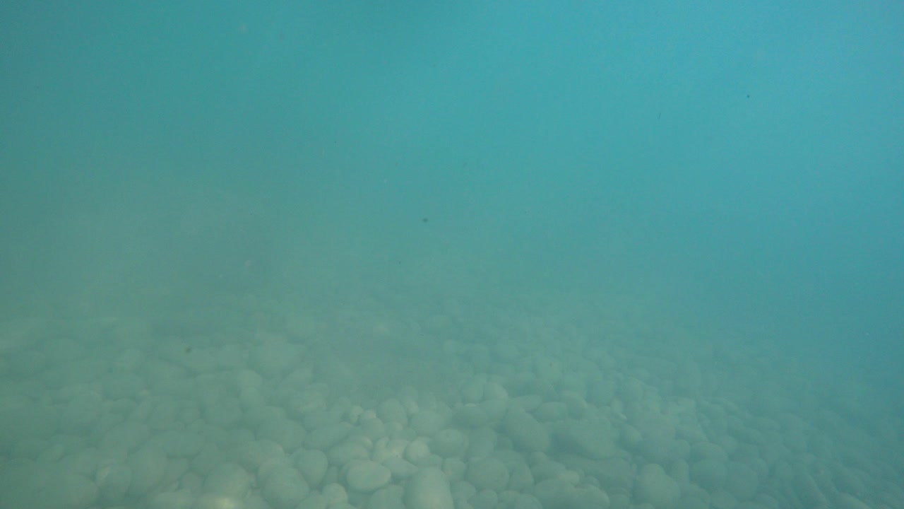 바다 속을 걷고 다이빙하는 액션 캠 남자와 pov