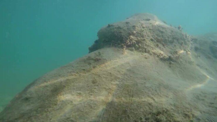 POV with action cam man walking inside sea and diving in
