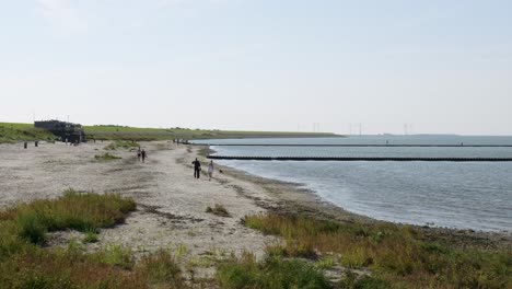 beach scene with people walking on a sunny day