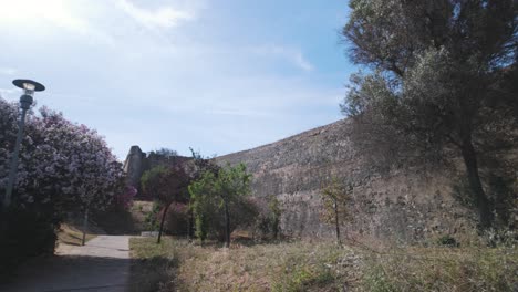 A-lone-tree-stands-against-the-ancient-city-wall-under-a-bright-blue-sky-in-Lagos,-Portugal