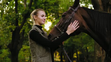 smiling woman is palming brown horse's head while standing in the forest during sunny day