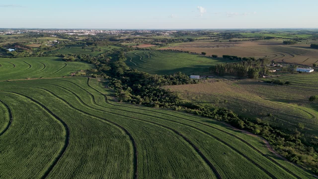 aerial view going forward of a huge soybean plantation field in the countryside of Sao Paulo - Typical agriculture region of Brazil