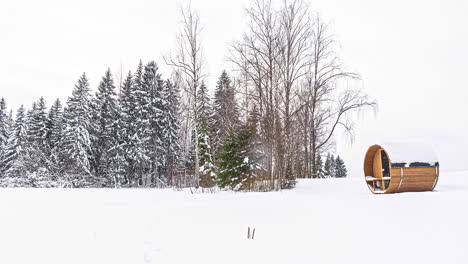 Thermoholzsauna-Allein-In-Weißer-Winterlandschaft