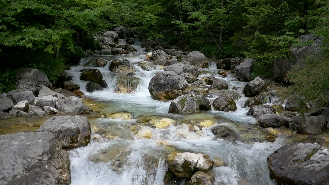 美しい山間の川のクローズアップ映像、滝のように流れ落ちる急流、鬱蒼とした森の奥深くを流れる水