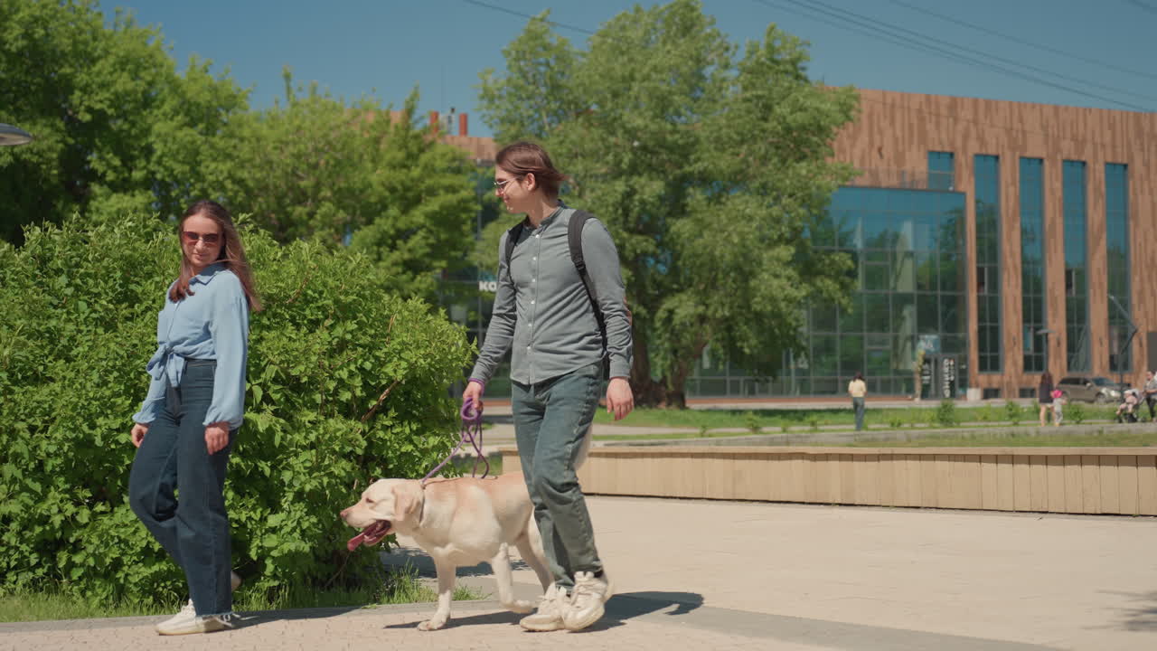 Una pareja pasea a su perro cerca de un lago; una mascota camina junto a un estanque sereno; unos individuos disfrutan de un paseo tranquilo con un can al aire libre; un dúo saca a su perro a dar un paseo relajado cerca de un elemento acuático reflectante.