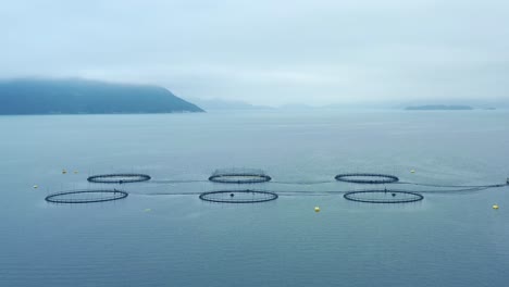 aerial footage farm salmon fishing in norway