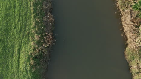 top view of alcobaca river in nazare, portugal - aerial drone shot