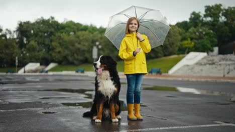 Portrait-of-a-happy-blonde-teenage-girl-in-a-yellow-jacket-who-holds-an-umbrella-in-her-hands-and-stands-near-her-large-purebred-black-and-white-dog-during-a-walk-after-the-rain-in-the-park