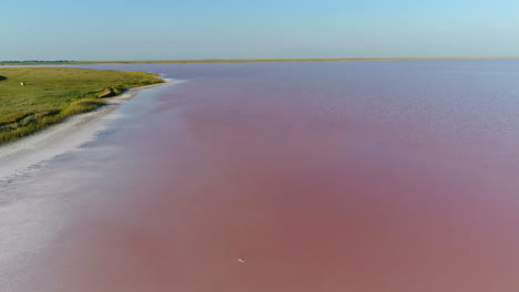 pink salt lake aerial view